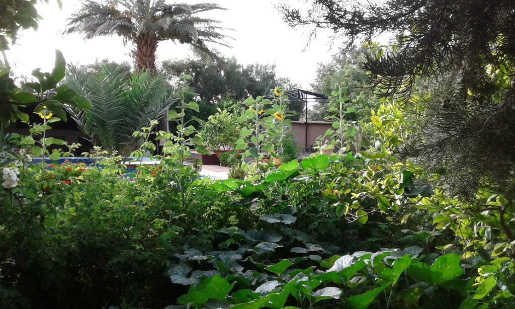 Bassatine Skoura Bed & Breakfast エクステリア 写真